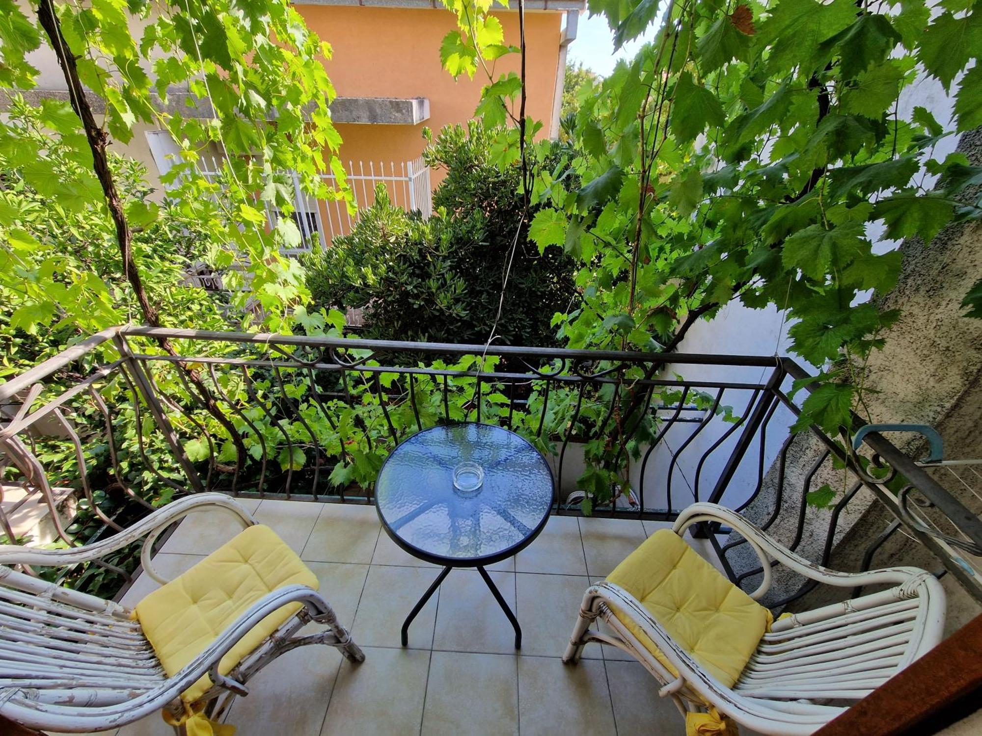 Guest House Damjana Budva Rum bild