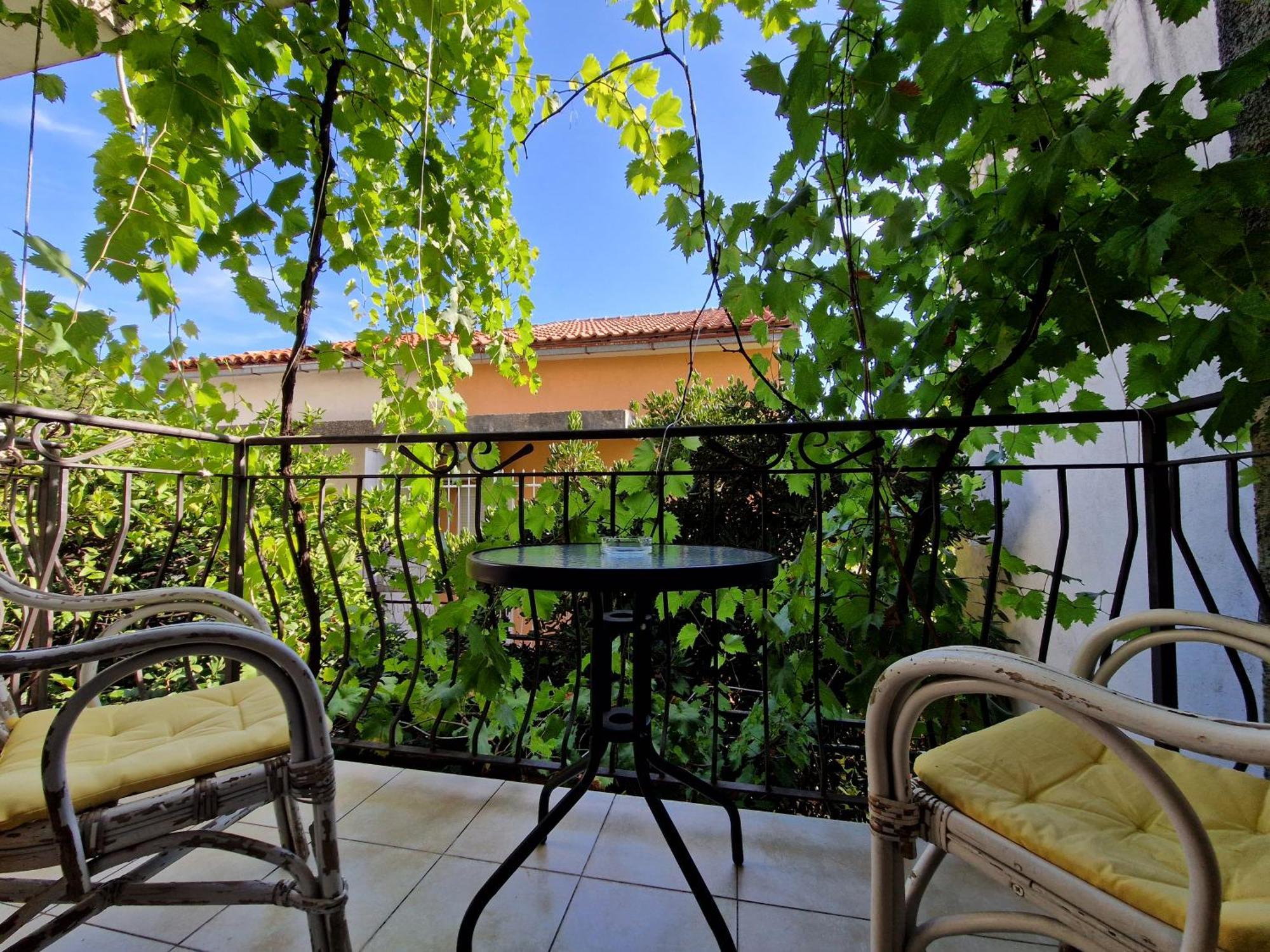 Guest House Damjana Budva Rum bild
